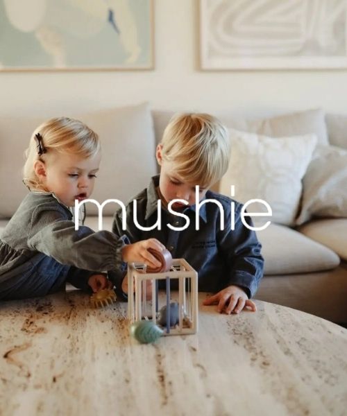 Accueil 11 mushie
